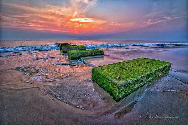 Abstract Photograph - Mossy Blocks 6312 by Dan Beauvais