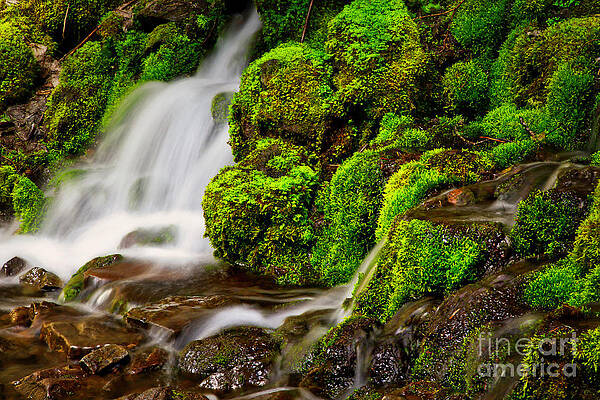 Mountain Photograph - Mossy Rocks And Spring Rain Runoff by Bruce Block