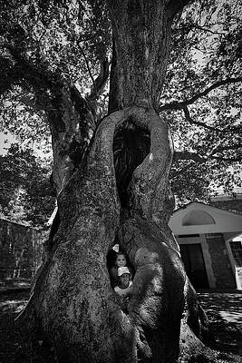 Mother Earth by Al Poullis