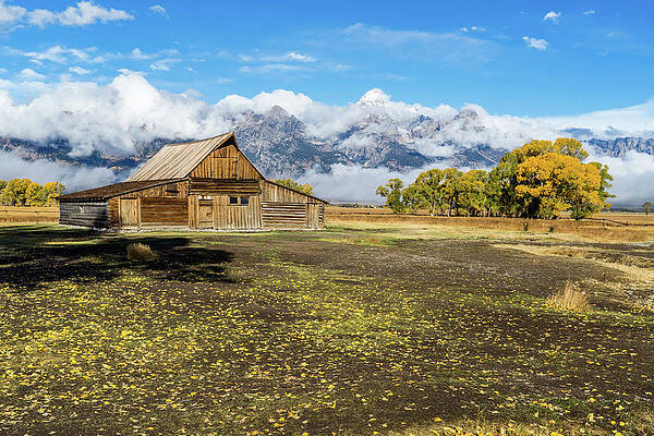 Wyoming Wall Art featuring the photograph Moulton Fall by Jeff Stoddart