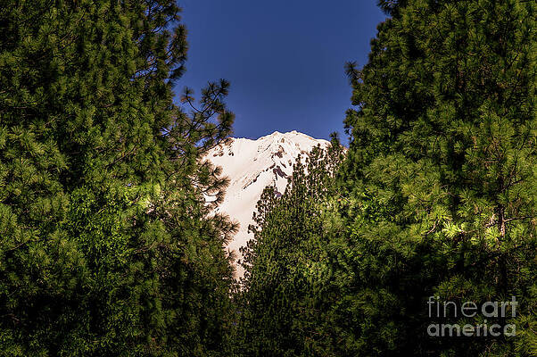 California Photograph - Mount Shasta #2 by Blake Webster