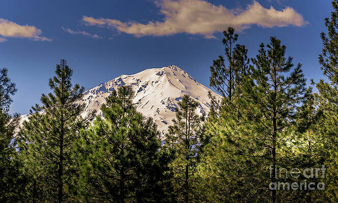 Beautiful Photograph - Mount Shasta by Blake Webster
