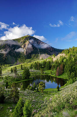 Wall Art featuring the photograph Bunsen Peak Mountain by Crystal Wightman