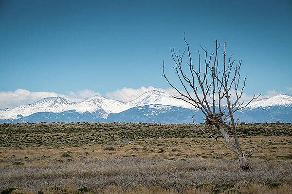 Wall Art featuring the photograph Mountain Views by Mary Lee Dereske