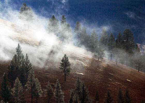 Country Wall Art featuring the photograph Mountainside Mist by Nicholas Blackwell