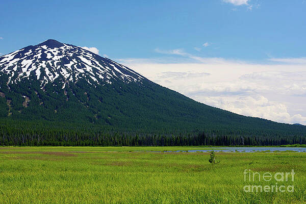 Summer Photograph - Mt Bachelor In Summer by Bruce Block