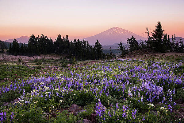 Mt. Bachelor Summer Sunset by Russell Wells