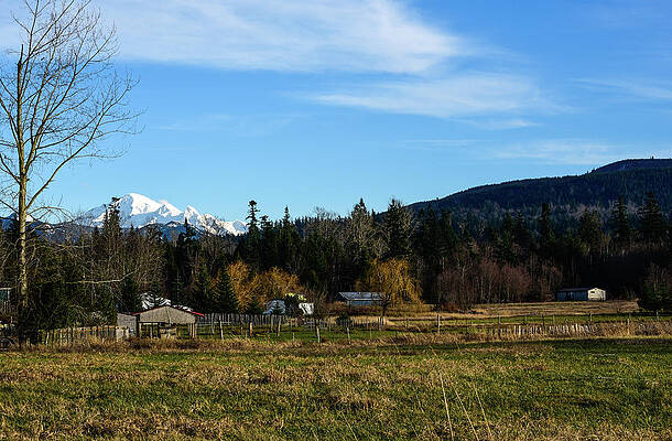 Farm Photograph - Mt Baker Farm View by Tom Cochran