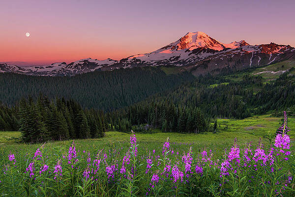 Wall Art featuring the photograph Mt. Baker Sunset by Russell Wells