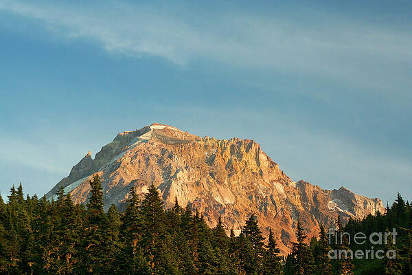Summer Photograph - Mt Hood-Evening Light by Bruce Block