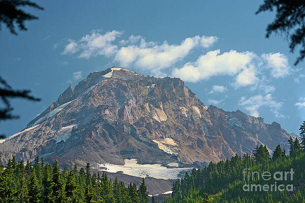 Mountain Photograph - Mt. Hood In Summer by Bruce Block