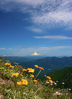 Summer Photograph - Mt. Hood In The Distance by Bruce Block