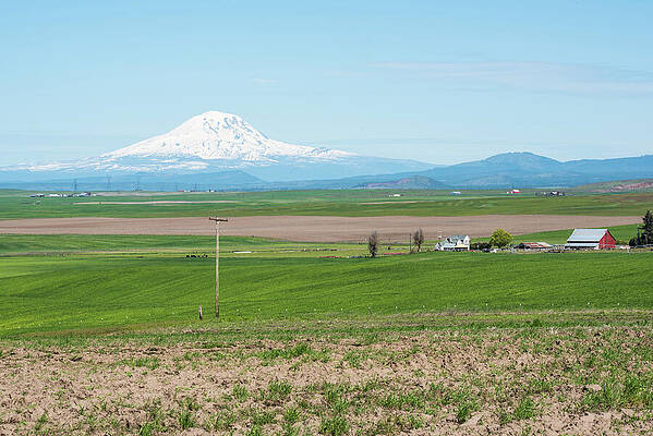 May Photograph - Mt Adams And Red Barn by Tom Cochran