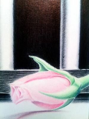 Wall Art featuring the drawing My Dilemma Early Draft by Donald 'C-Note' Hooker