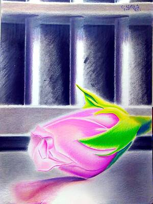 Wall Art featuring the drawing My Dilemma In Color by Donald 'C-Note' Hooker