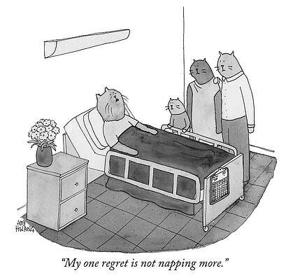 Cats in a Hospital Room Wall Art