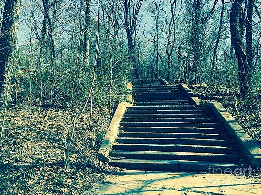 Tree Wall Art featuring the photograph Mysterious Passage by Onedayoneimage Photography