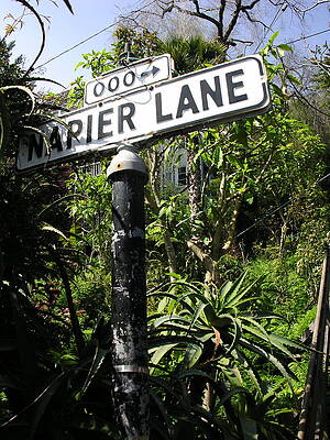 California Wall Art featuring the photograph Napier Lane by C Thomas Cooney