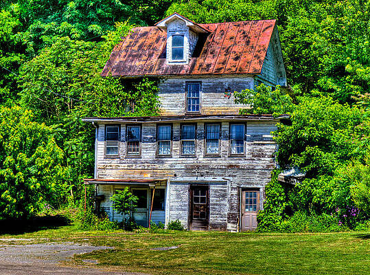 Nature Wall Art featuring the photograph Nature Reclaims by Jonny D