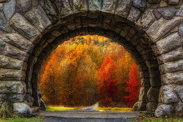 Autumn Trees Through Stone Arch Photograph