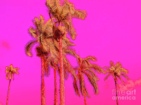 Tree Wall Art featuring the photograph Neon Tropics by Onedayoneimage Photography