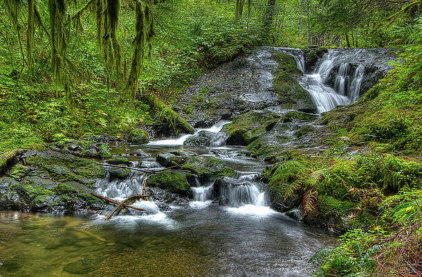 Water Wall Art featuring the photograph Nestucca River by Jean Noren