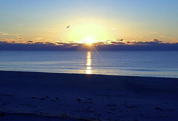 Wall Art featuring the photograph New Day I I by Robert Newman