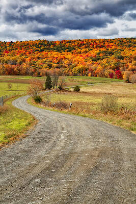 Winding Road in Autumn Landscape Photograph