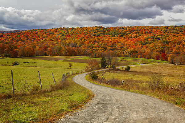 Winding Road Through Autumn Foliage Photograph