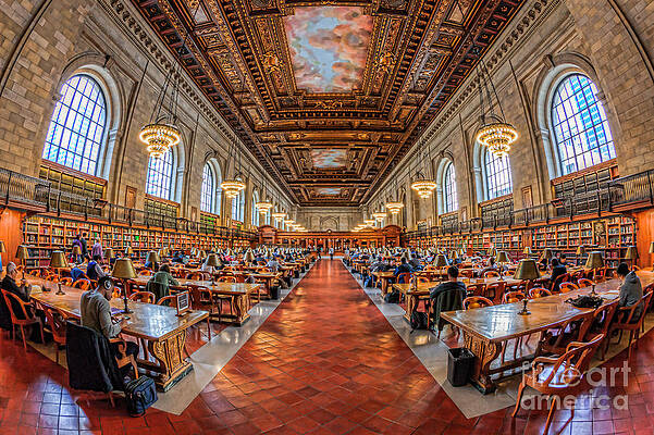Grand Reading Room with Ornate Ceiling Wall Art