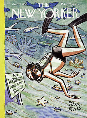 Scuba Diver with No Trespassing Sign Painting