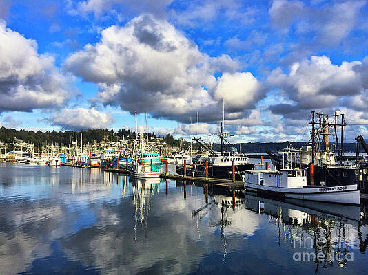 Oregon Photograph - Newport Bay by Bruce Block