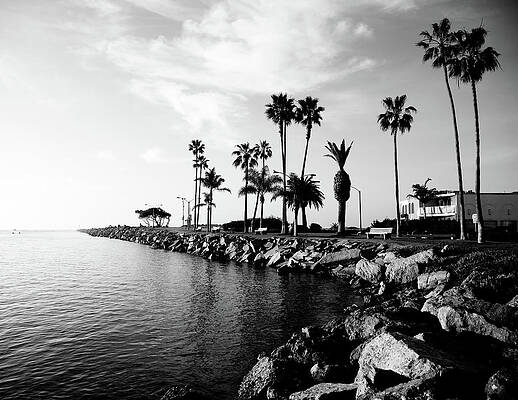 California Wall Art featuring the photograph Newport Beach Jetty by Paul Velgos