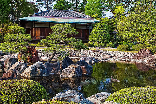 Flower Photograph - Nijo Castle Gardens by Waterdancer