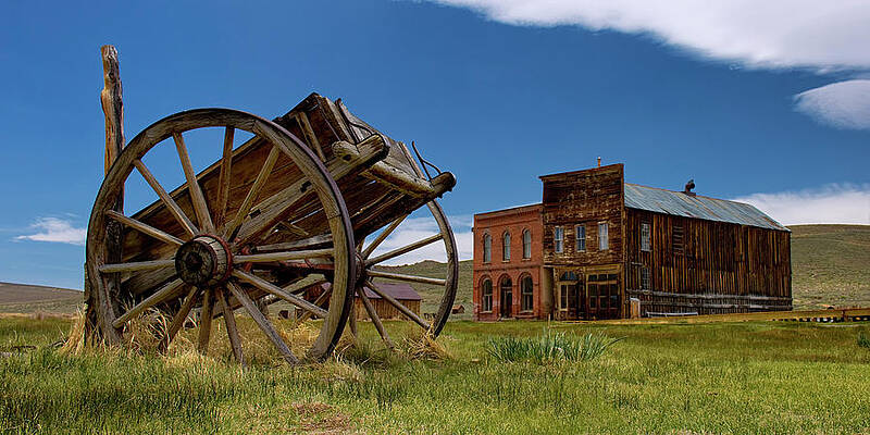 Historical Wall Art featuring the photograph No Delivery by American Landscapes