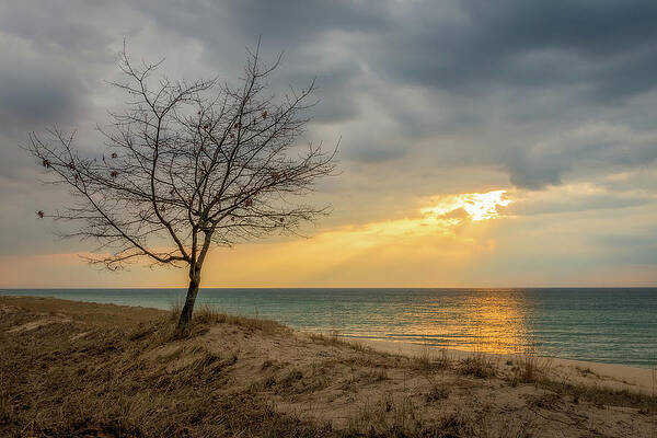 Wall Art featuring the photograph Noardhouse Dunes by Steve L'Italien