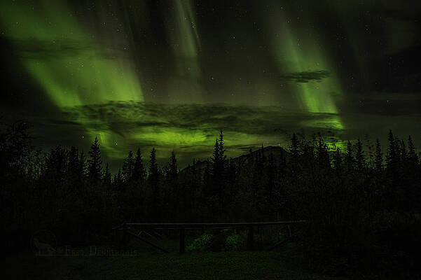 Wall Art featuring the photograph Northern Lights by Fred Denner