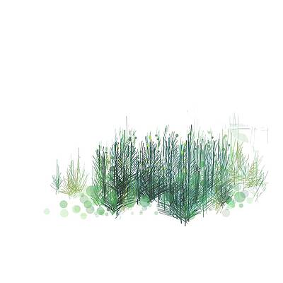 Tree Digital Art - Northwoods by Gina Harrison