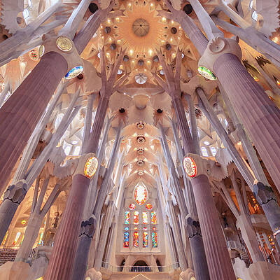 Majestic Cathedral Interior Architecture Wall Art