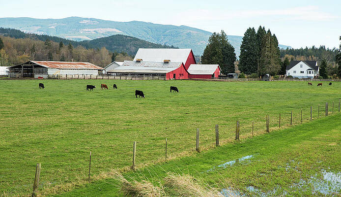 Fall Wall Art featuring the photograph November Red Barn by Tom Cochran