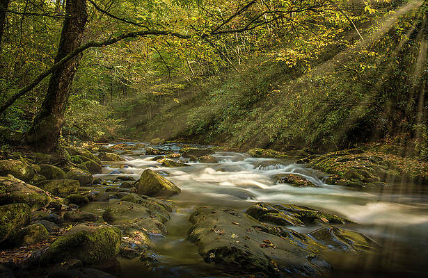 Natural Photograph - Oconaluftee River by David Morefield