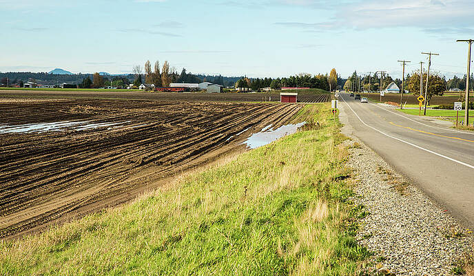 Fall Wall Art featuring the photograph October Brings Muddy Fields by Tom Cochran