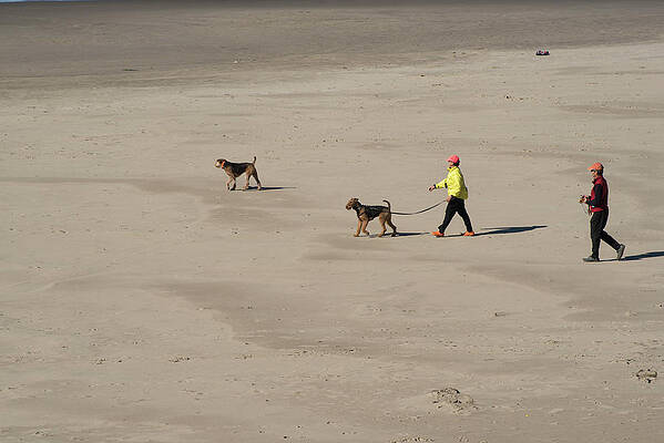Oregon Wall Art featuring the photograph Off Leash Area by Tom Cochran
