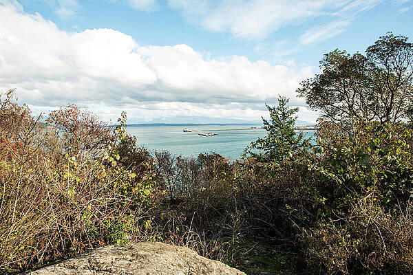 Fall Wall Art featuring the photograph Oil Tanker Unloads by Tom Cochran