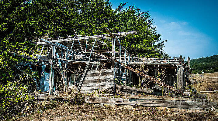 Wall Art featuring the photograph Old Abandoned Structure Sonoma County by Blake Webster