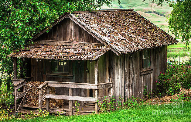 California Photograph - Old Cabin Tolay Ranch Sonoma County by Blake Webster