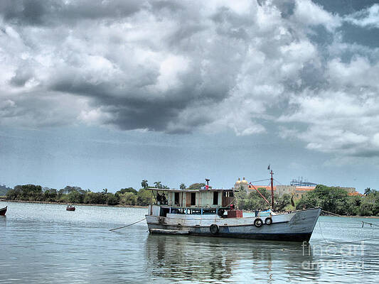 Landscape Wall Art featuring the photograph Old Beauty by Onedayoneimage Photography