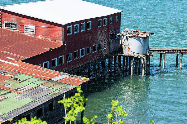 May Photograph - Old Cannery by Tom Cochran