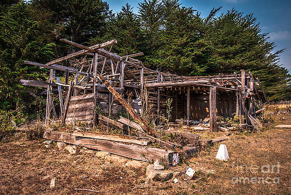 Wall Art featuring the photograph Old Shack In Cambria Pines by Blake Webster