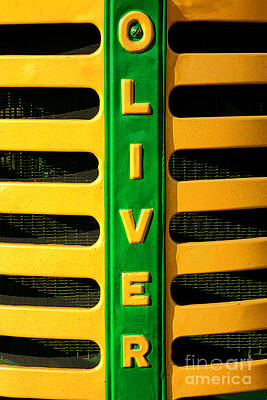 Copyright Photograph - Oliver by Olivier Le Queinec